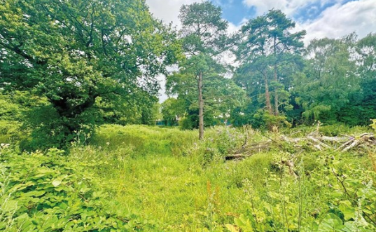 Development Opportunity in WISBECH photo